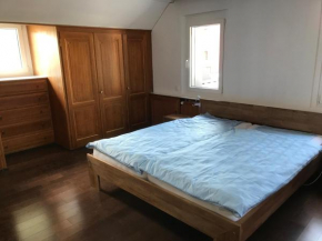 Ferienwohnung zentrale ruhige Lage